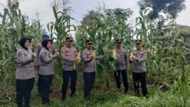 Waka Polres Jaktim Tinjau Lahan Pertanian Polres di Bambu Apus