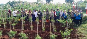 Panen Raya Jagung yang digelar Muspika Kecamatan Cipayung di lahan urban farming Jalan Bambu Hitam, Kelurahan Bambu Apus, Kamis pagi (8/5/2025).