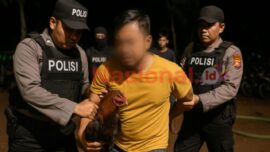 Judi Sabung Ayam di Pinrang Digerebek Polisi, 12 Orang Diamankan