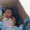 Warga Sidrap Temukan Bayi Laki laki Dalam Dus, Mau Adopsi?