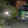 Pohon Besar Tumbang Timpa Truk Kontainer di Magetan
