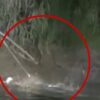 Buaya Raksasa Penunggu Sungai Bulete Wajo Sulsel, Makan Orang!