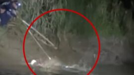 Buaya Raksasa Penunggu Sungai Bulete Wajo Sulsel, Makan Orang!
