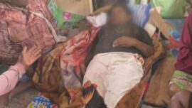 Warga di Kiwirok Tewas Kelaparan dan Terisolir Akibat Teror Bersenjata OPM