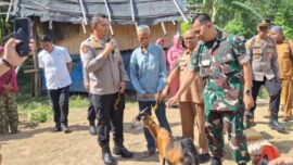 Pasutri di Panca Lautang Tinggal di Gubuk Reyot, Kapolres Sidrap Bangunkan Rumah Layak Huni