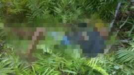 Empat Tenaga Kesehatan Diserang OTK di Papua Barat Daya, Dua Tewas