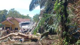 3 Pohon Tumbang Timpa Tenda Pengantin di Bone, Ibu Mempelai Tewas