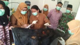 Kebakaran Maut di Paluta, Nenek Usia 77 Tahun Tewas Terpanggang