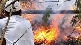Dicari Presiden Prabowo Saat Rakornas, Gubernur Jabar Ternyata Sedang Berjibaku Padamkan Kebakaran Gunung Ciremai